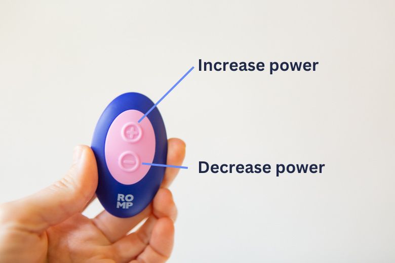 Romp Party Remote Control Labeled Button Layout