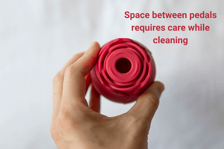 Rose Toy Cleaning