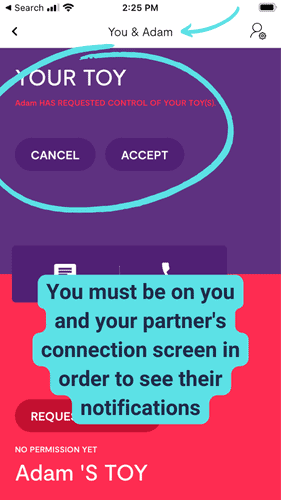 Screenshot of partner control request in We-Vibe app