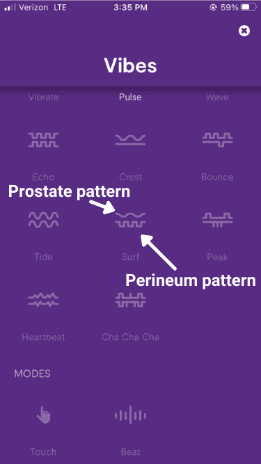 We-Vibe Vector Patterns Shown in App