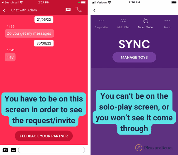 WeVibe Screen to See Partner Invites